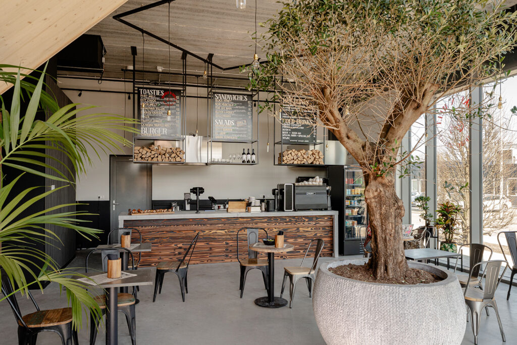 Sfeervol interieur van een horecagelegenheid in de buurt van de Makerstoren, met een grote olijfboom als middelpunt, een houten bar, krijtbordmenu's en tropische planten.